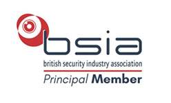 Bsia Web